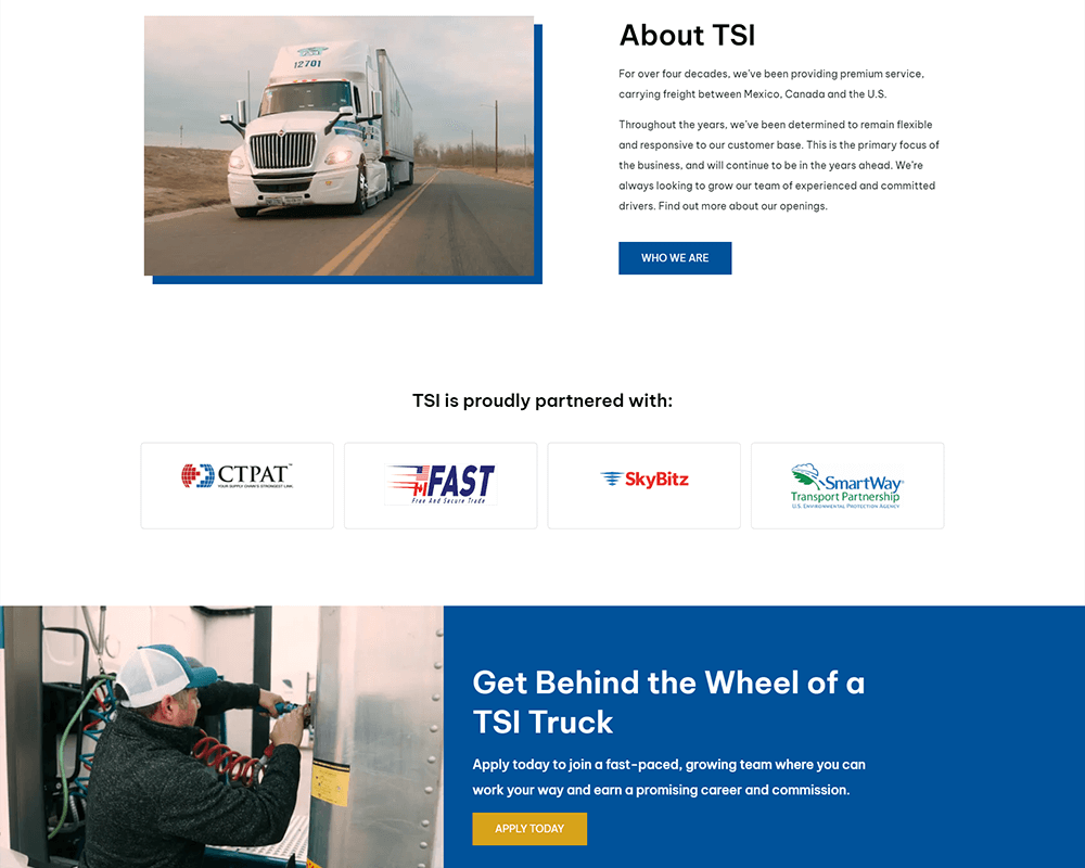 Screenshot of TSI - About TSI section